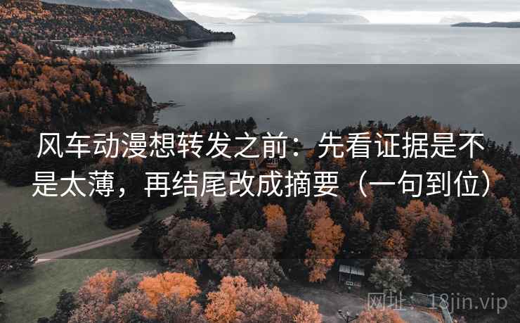 风车动漫想转发之前：先看证据是不是太薄，再结尾改成摘要（一句到位）